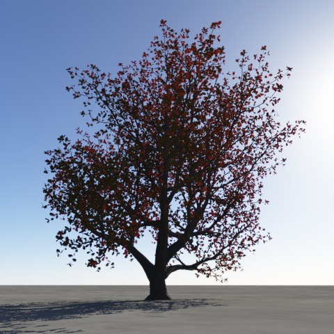 Oak with translucency red.jpg