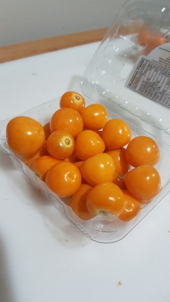 File:20161219 180652.jpg