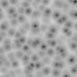 Pf flavour voronoi ridges.jpg