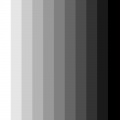 Thumbnail for version as of 20:49, 13 January 2021