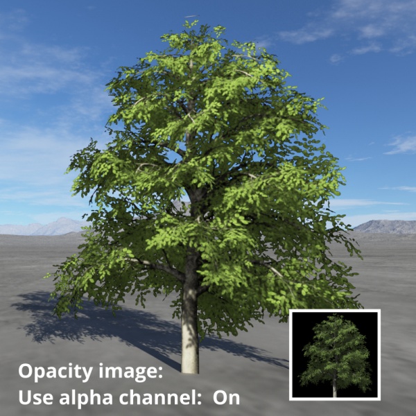 File:Wiki DefShdr 120 OpacityTab Opacity1 UseAlphaOn.jpg