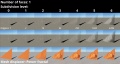 Thumbnail for version as of 03:36, 24 September 2021