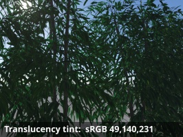 Translucency tint = sRGB 49,140,231