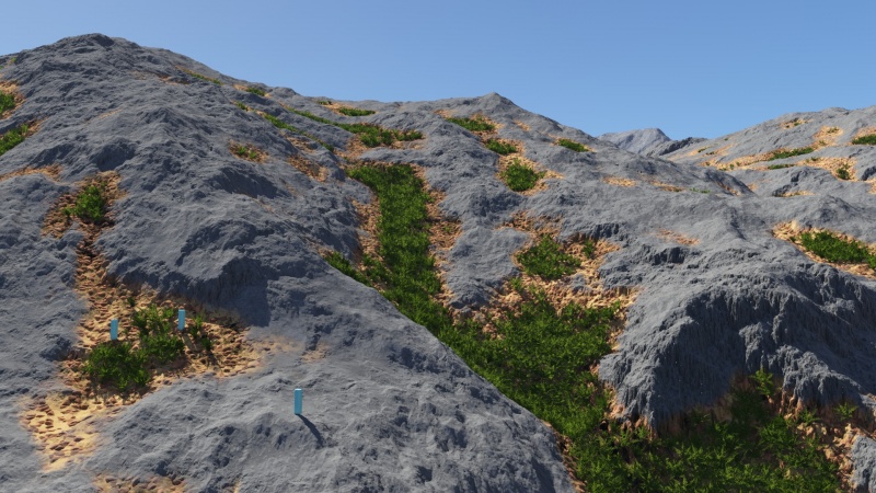 File:Render Ferns 2.jpg
