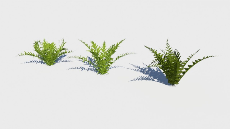 File:Tutorial GetNodeMasking 18-1 WalliPlantPackFerns.jpg